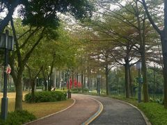 -顺峰山公园