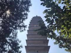 -洛阳白马寺