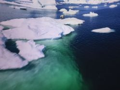 -翱翔飞越地平线