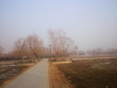 -大兴滨河森林公园