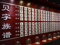 -青岛贝壳博物馆