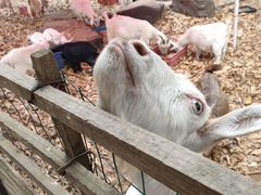 -杭州师范大学(下沙校区)