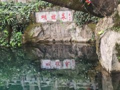 -蝴蝶泉公园