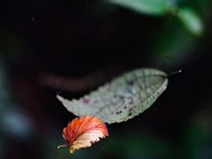 -玉林生活广场
