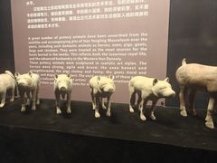 -汉景帝阳陵博物院