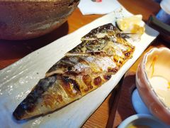 盐烤青花鱼-鳗鱼家·深夜食堂(军博店)