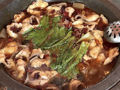 -都江堰石锅鱼