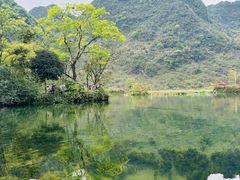 -靖西鹅泉风景区