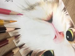 -八哥美术·成人美术画室(总校区)