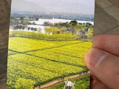 -长兴太湖图影湿地文化园