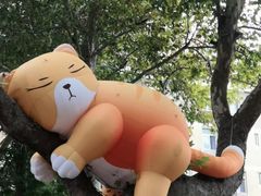 -西安电影制片厂