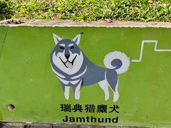 -景田北六街公园宠物主题园