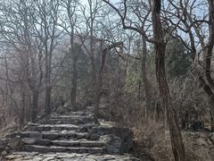 -北京鹫峰国家森林公园