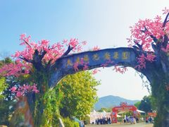 -天适樱花悠乐园