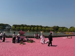 -上海鲜花港
