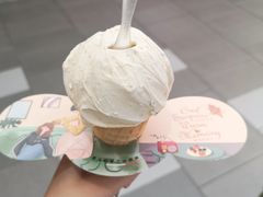-野人先生现做冰淇淋(西安赛格店)