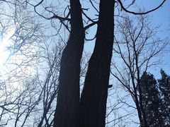 -终南山南五台景区