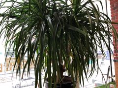 -惠友大虾(太原北街店)