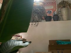 -甘婆婆醪糟汤圆