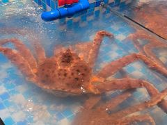-映像威海·威海宴(威高广场店)