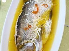 鸡汤蒸博湖翘嘴鱼-帕米尔食府(白云观店)