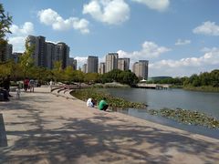 -新江湾城公园