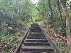 -炮台山公园