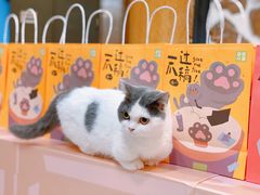 -大悦城(沈阳中街店)
