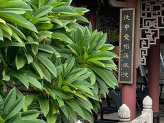 -碧江金楼