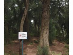 -鸿山公园