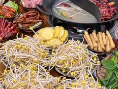 -阳阳老火锅(小南门店)