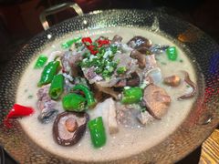 -长沙猫歌音乐餐厅(湖南女子大学店)