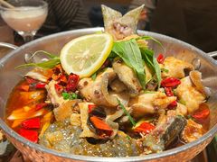 -菌自由丨野生菌火锅特色庭院餐厅(丽江古城店)