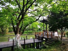 -西溪国家湿地公园