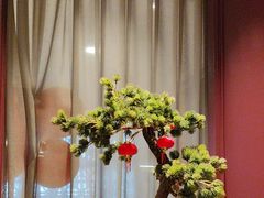 -随和家宴·川菜(杜甫草堂店)