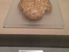 -幸福时光PARTY K(八里桥店)