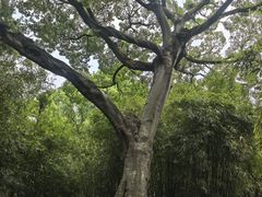 -上海方塔园
