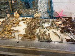 -鲤鱼洲酒店港鲤咖啡厅