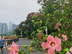 -深圳湾公园(南山区)