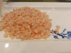 -同济大酒店(绿宝广场店)