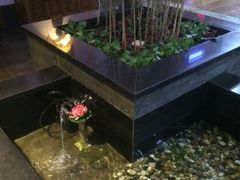 -碧露轩·大益茶体验馆(镇江路店)