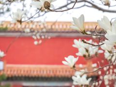 -北京市劳动人民文化宫(太庙)