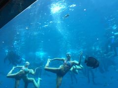 -瑞德姆美人鱼海底演艺主题餐厅(亚龙湾店)