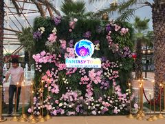 -三亚海昌梦幻海洋不夜城