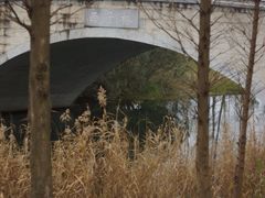 -眉山湿地公园(东坡区)