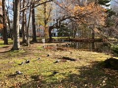 -北海道厅旧本厅舍(旧本庁舎)