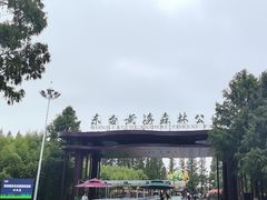 -黄海国家森林公园