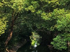 -同里国家湿地公园