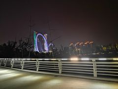 -南京眼步行桥