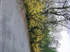 -北京鹫峰国家森林公园